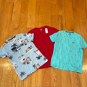 3 bundle!! Hollister men’s cotton t-shirts. One is NWT!